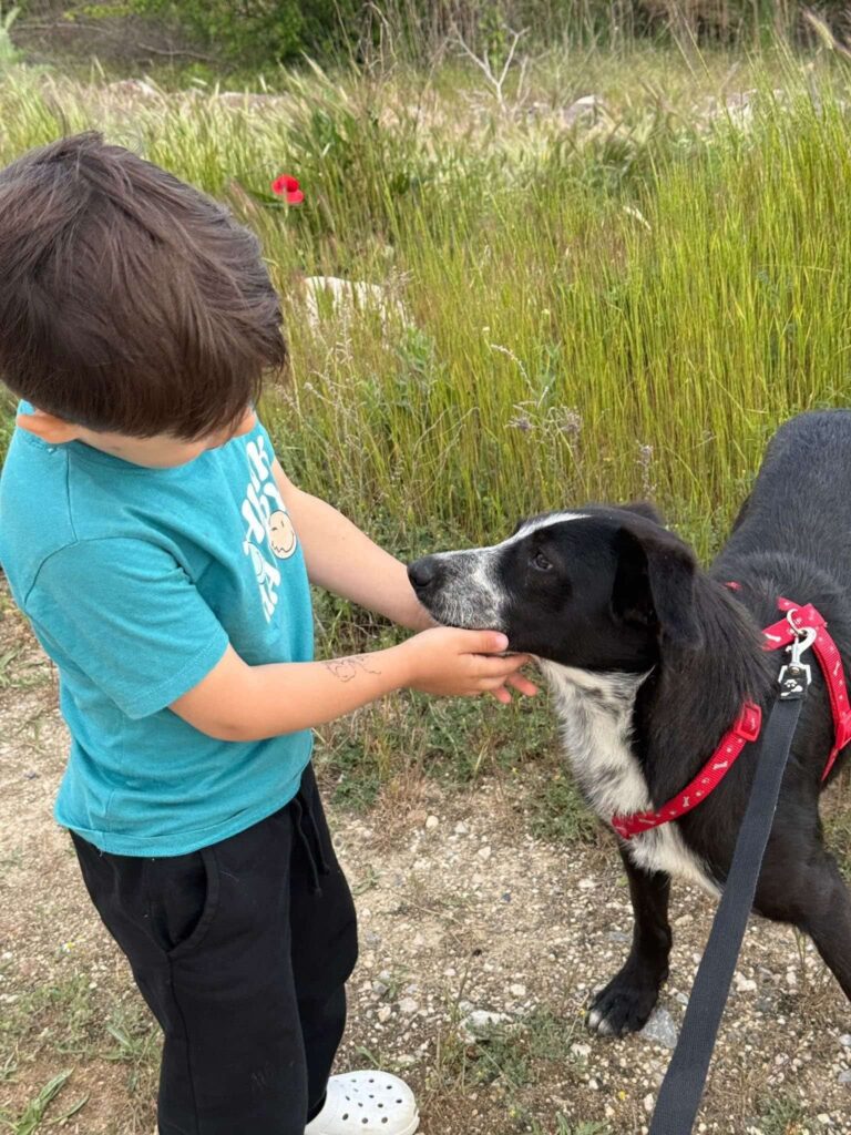 Fb img 1764407723315