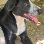 Fb img 1764407727526