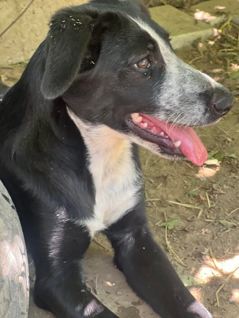 Fb img 1764407727526