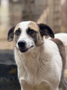 Fb img 1768378560748