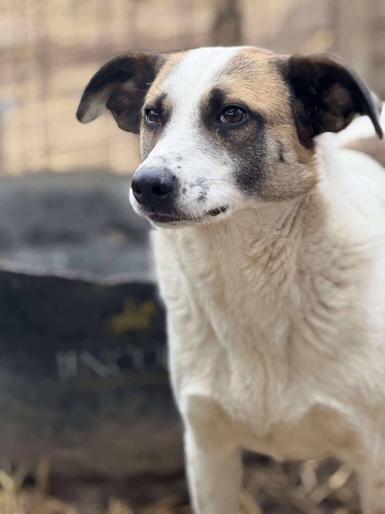 Fb img 1768378563433