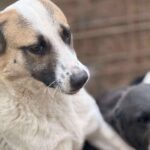 Fb img 1768378567961