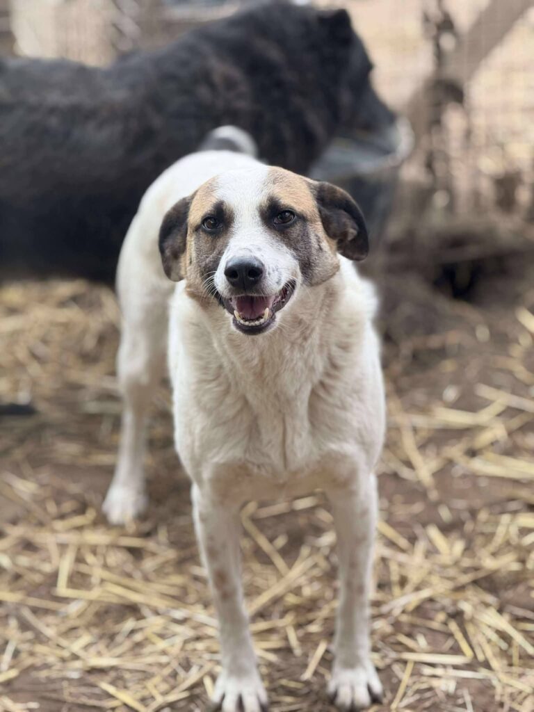 Fb img 1768378570261