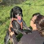 Messenger creation 0c9cdd8b bfa2 4831 84d8 7e408e36610f