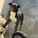 Messenger creation 14b274b6 cdd6 459d 89c6 a2db7796fb89