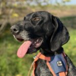 Messenger creation 2574fcb8 97fb 4b92 908f 3b270a68f247