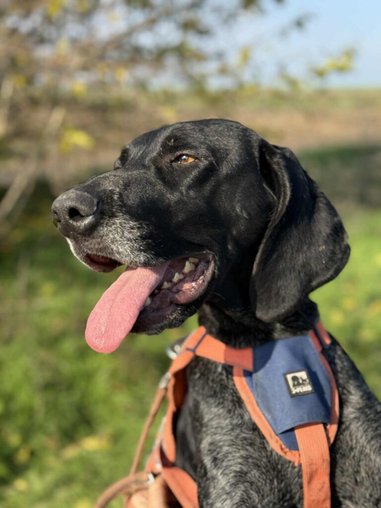 Messenger creation 2574fcb8 97fb 4b92 908f 3b270a68f247