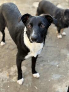 Messenger creation 2c6330e5 0604 40fe b139 6719f8f6c68a