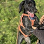 Messenger creation 2fef5a5e 1e9d 4a7e bfc8 2395dd92a1ef