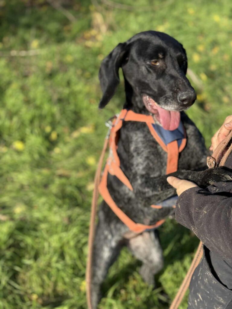 Messenger creation 2fef5a5e 1e9d 4a7e bfc8 2395dd92a1ef