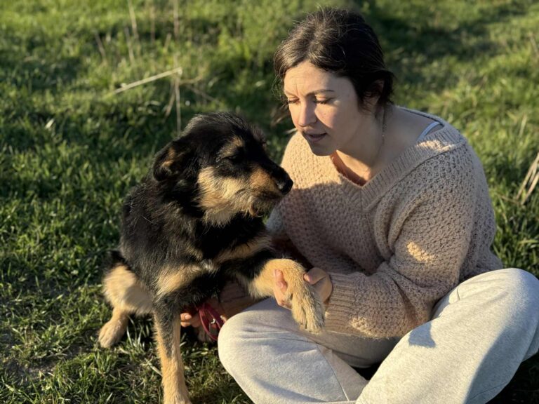 Messenger creation 3744c259 1a5d 4a4b 9e57 2844a56ba486