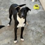 Messenger creation 41d6c6b4 dce1 49d5 8b97 5762a8b25e51