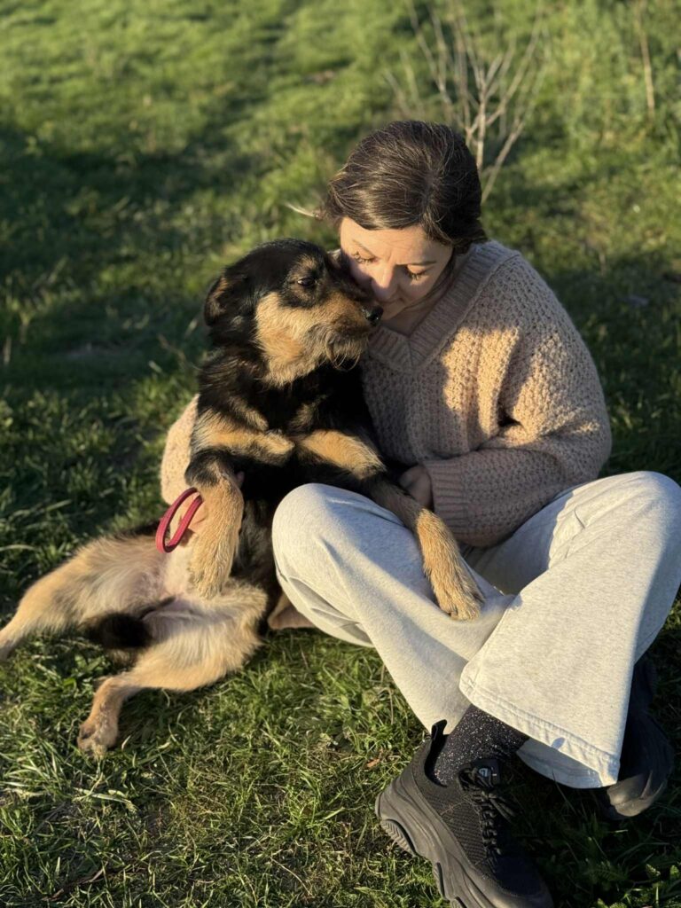 Messenger creation 41f0471f 70fe 4f29 8d41 a238e8345c32