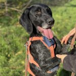 Messenger creation 5ad4277f de21 4345 86cd af9d0f00a6ac