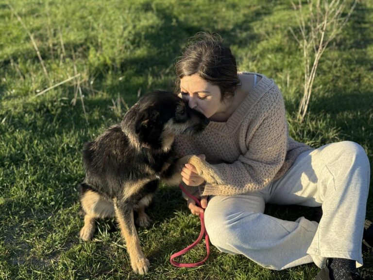 Messenger creation 5b6396fb 6b65 4ef8 8b51 270701675592