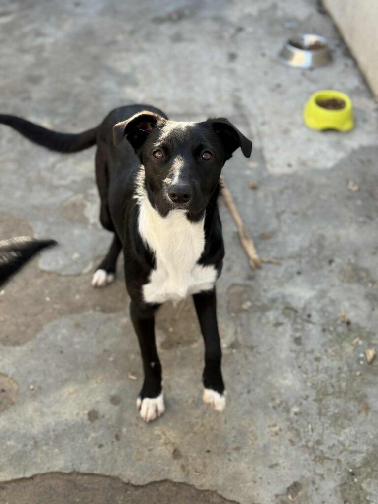 Messenger creation 5d1ab620 db0d 4330 8690 6ef703abadbb