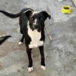 Messenger creation 5d1ab620 db0d 4330 8690 6ef703abadbb