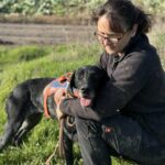 Messenger creation 5e3c5721 1762 4127 9463 894e418d55bf