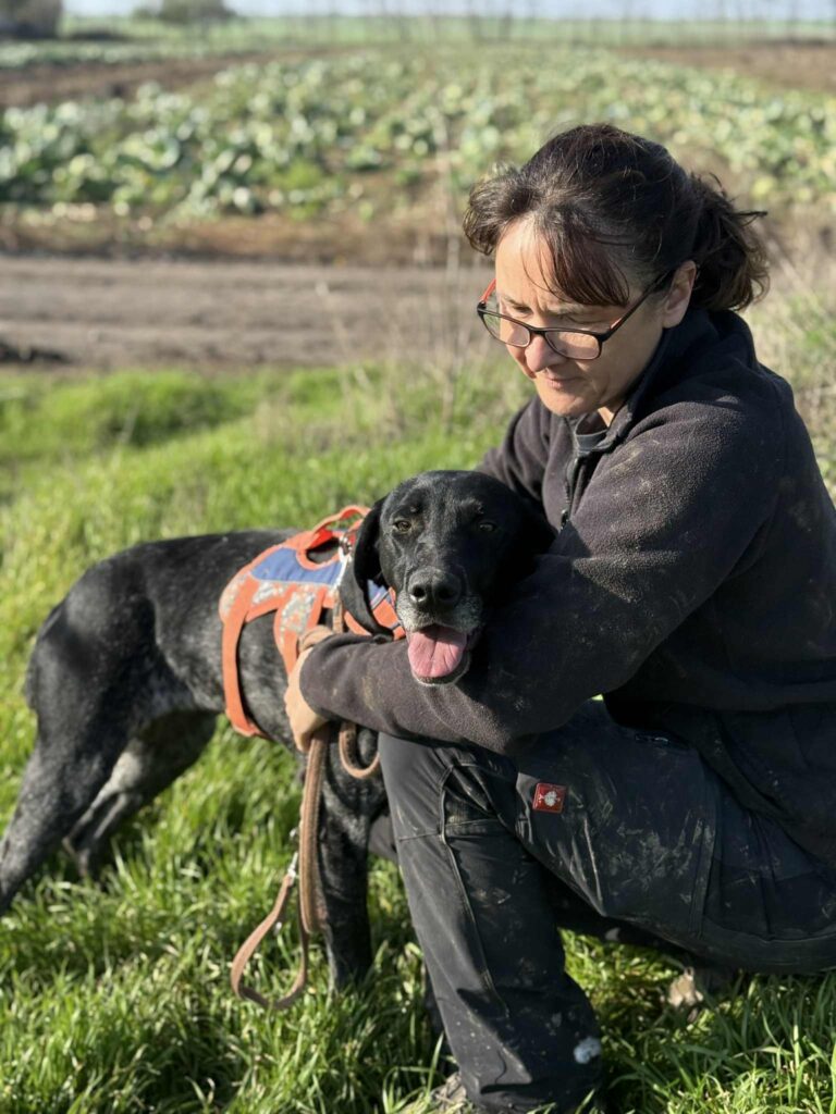 Messenger creation 5e3c5721 1762 4127 9463 894e418d55bf