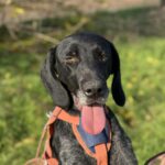 Messenger creation 5e9492a3 35f3 40c2 ab07 d5385dfbaf4f