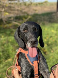 Messenger creation 5e9492a3 35f3 40c2 ab07 d5385dfbaf4f