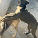 Messenger creation 614ca829 bf6d 4aa6 a0db c6cba250d00f