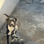 Messenger creation 64b9914c 075f 48e1 9140 44317c0c13ed