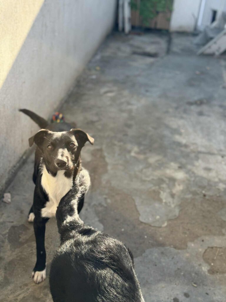 Messenger creation 64b9914c 075f 48e1 9140 44317c0c13ed