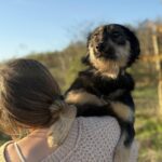 Messenger creation 6da5d539 9b4d 457e 9b7d fe3f9faa5aec