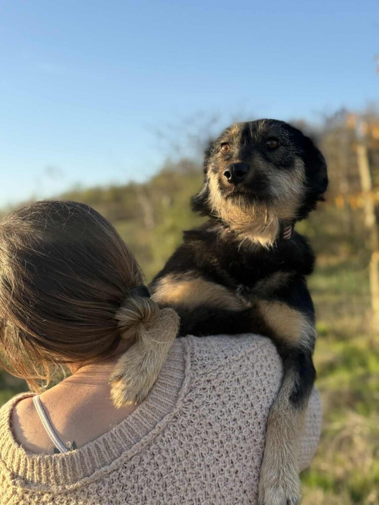 Messenger creation 6da5d539 9b4d 457e 9b7d fe3f9faa5aec