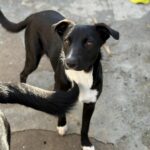 Messenger creation 7376a1bc 769d 4a67 8d3c 72bcbf1d76a7