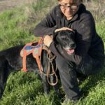 Messenger creation 7a12dee3 af6b 4752 9c66 74eb83d67d97