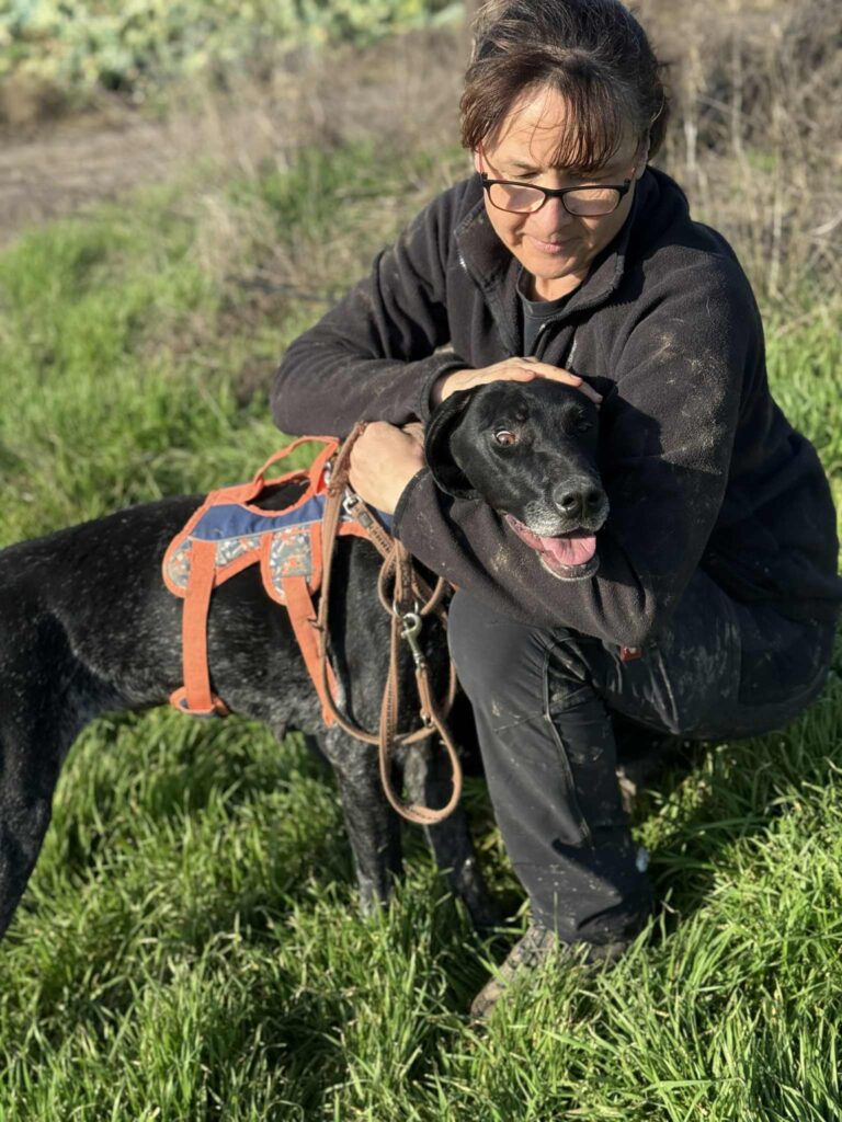 Messenger creation 7a12dee3 af6b 4752 9c66 74eb83d67d97