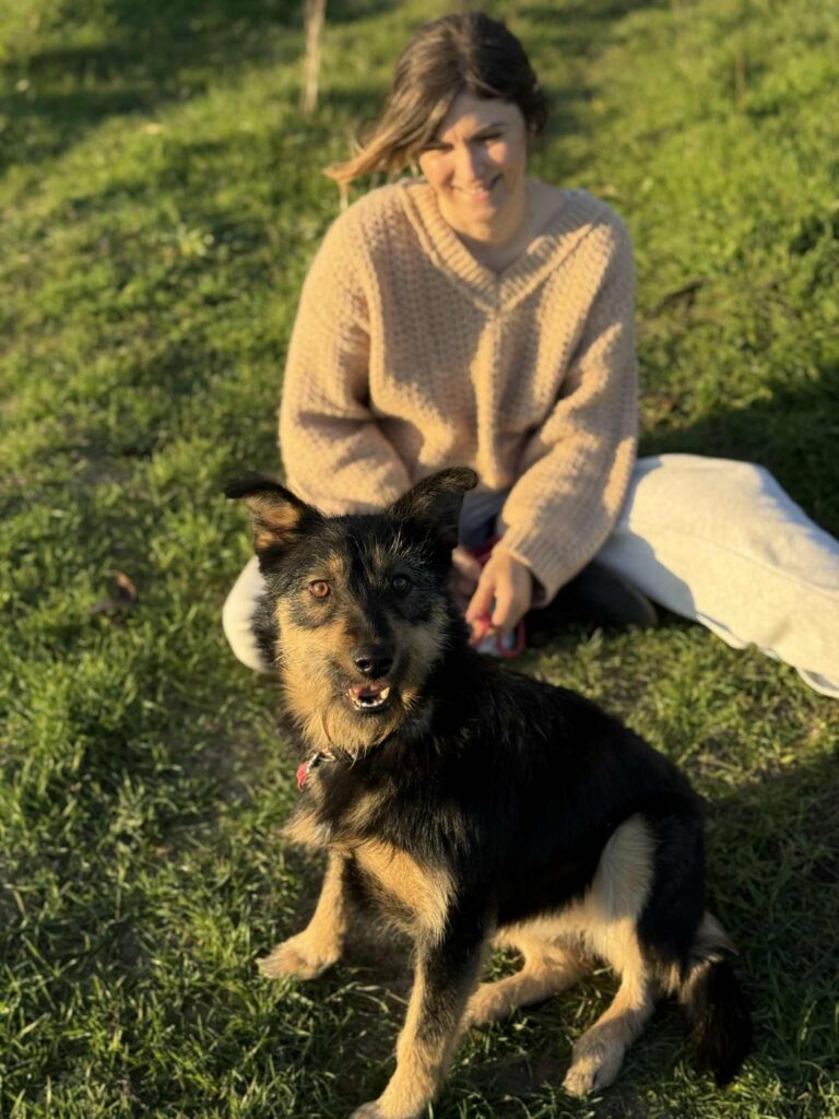 Messenger creation 930b5b1a 1b39 4a9f a279 dfb13839a1b9