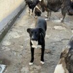 Messenger creation a9f614dd a189 4808 b0ee c396a7d38222