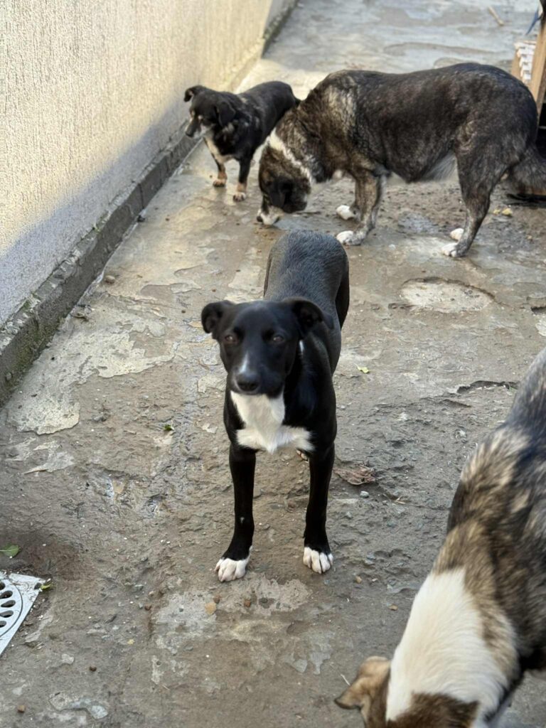 Messenger creation a9f614dd a189 4808 b0ee c396a7d38222