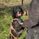 Messenger creation afe8f484 4755 43bf 9326 709e5ef607ad