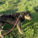 Messenger creation b1e11fde 6c31 49c4 b505 3c4fc48cc333