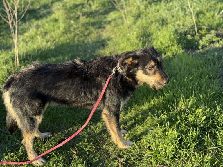 Messenger creation b1e11fde 6c31 49c4 b505 3c4fc48cc333