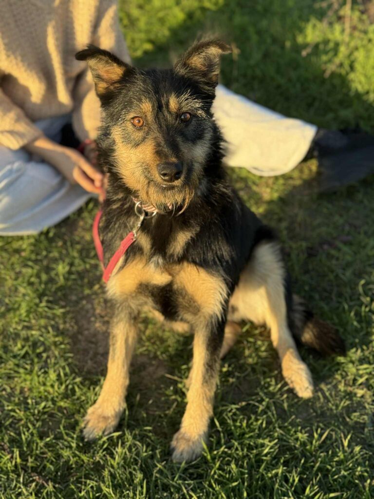 Messenger creation ba6bcdc2 15b1 4ba2 870f 6608ba442183