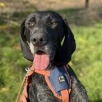 Messenger creation babe5395 bee5 4550 92e5 2339de1e2287