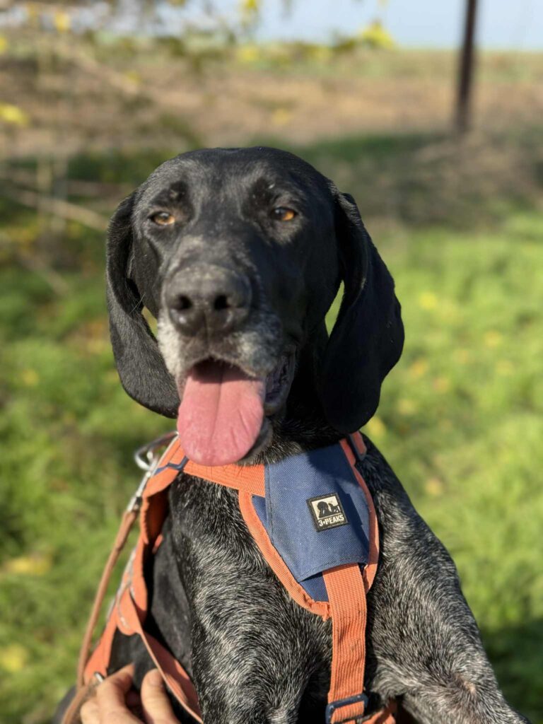 Messenger creation babe5395 bee5 4550 92e5 2339de1e2287