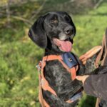 Messenger creation bc320b92 fadb 49da b527 b54f1ec53608