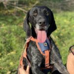 Messenger creation c2e605e1 bce6 478d 9c39 1d6d3aa903ba