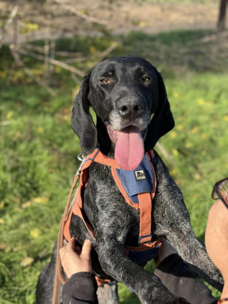 Messenger creation c2e605e1 bce6 478d 9c39 1d6d3aa903ba