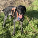 Messenger creation d316cb1f 2423 448b 9935 db4919286400