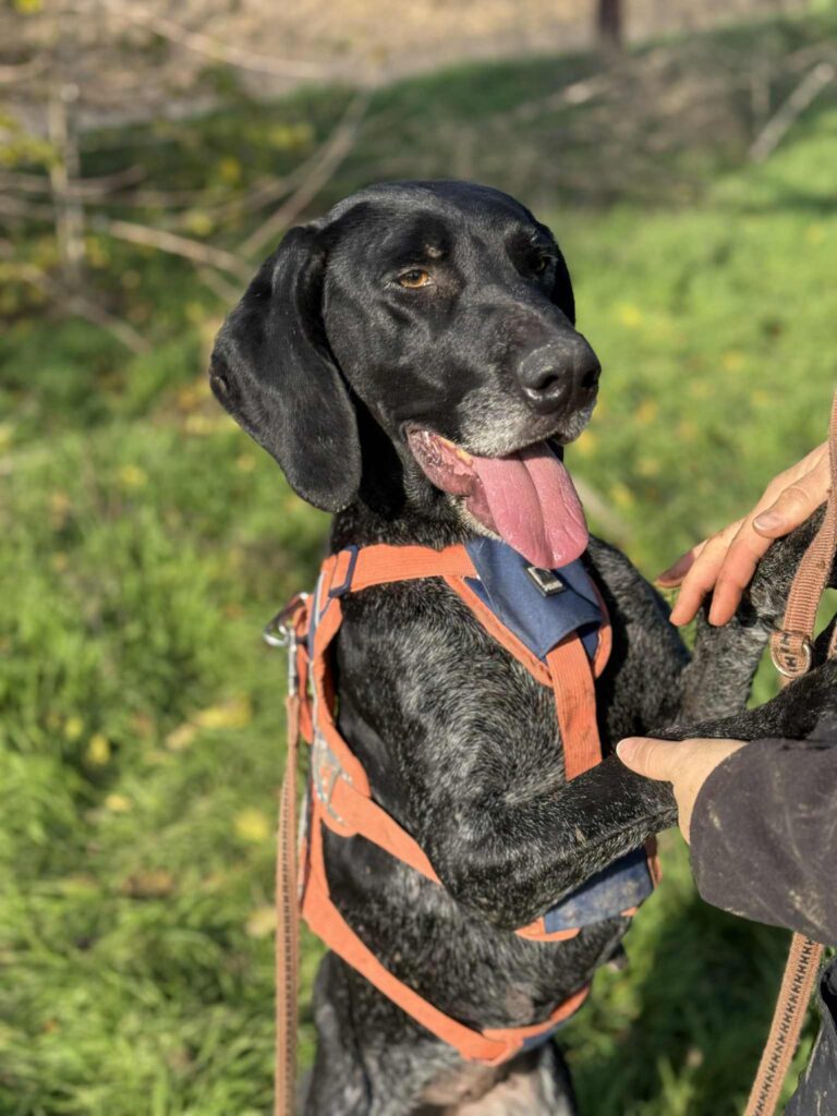 Messenger creation d3d7541d f646 4030 9a06 1cd3e93643ef