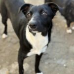 Messenger creation e4a47679 59cd 4099 bb96 9a1e6d505e18