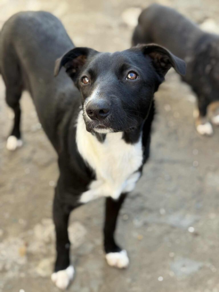 Messenger creation e4a47679 59cd 4099 bb96 9a1e6d505e18