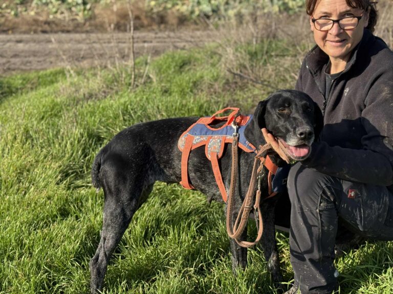 Messenger creation ebb3e69f 933f 4363 8a11 73c50b39a2d1